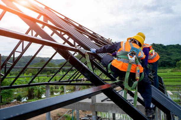Best Roof Waterproofing Services  in Gman, IL