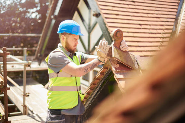 Roof Gutter Cleaning in Gilman, IL